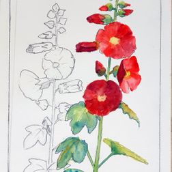 KJ-blomst-akvarel-25x42_1