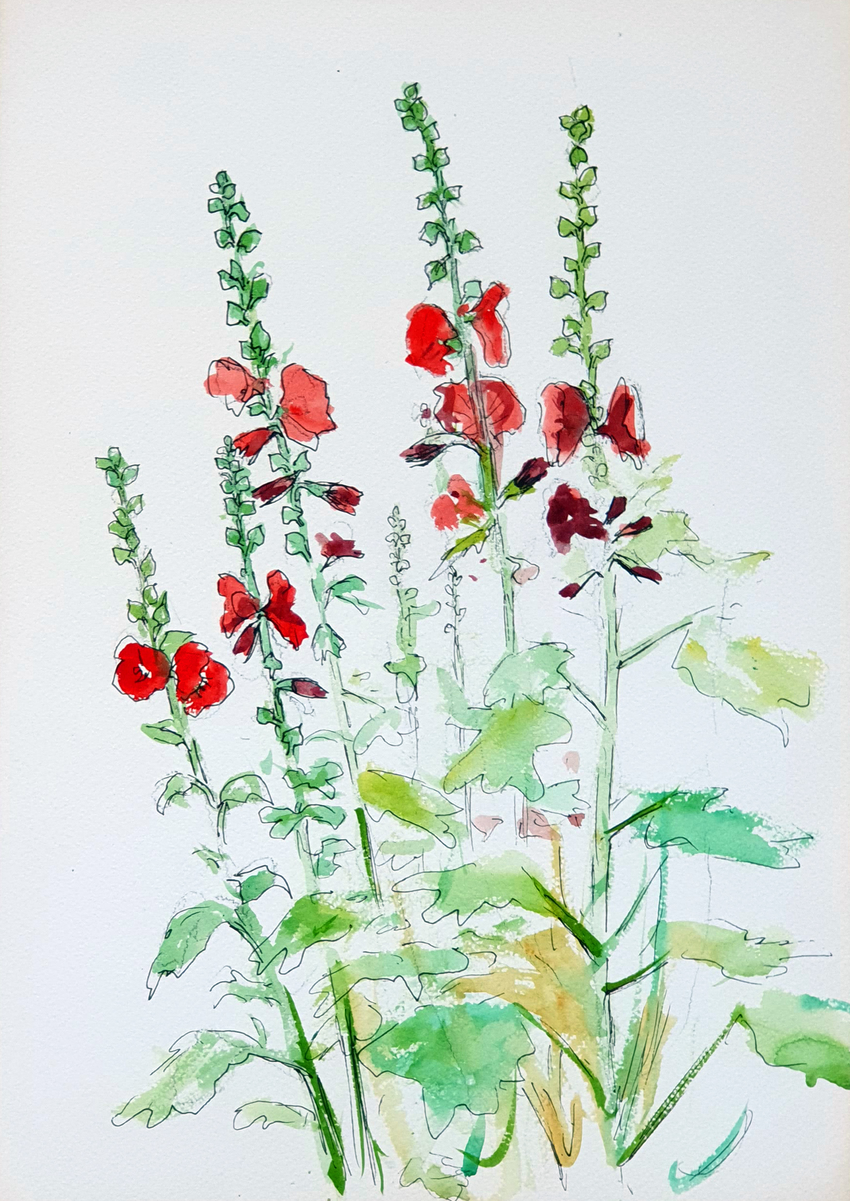 KJ-blomst-akvarel-24x34_1