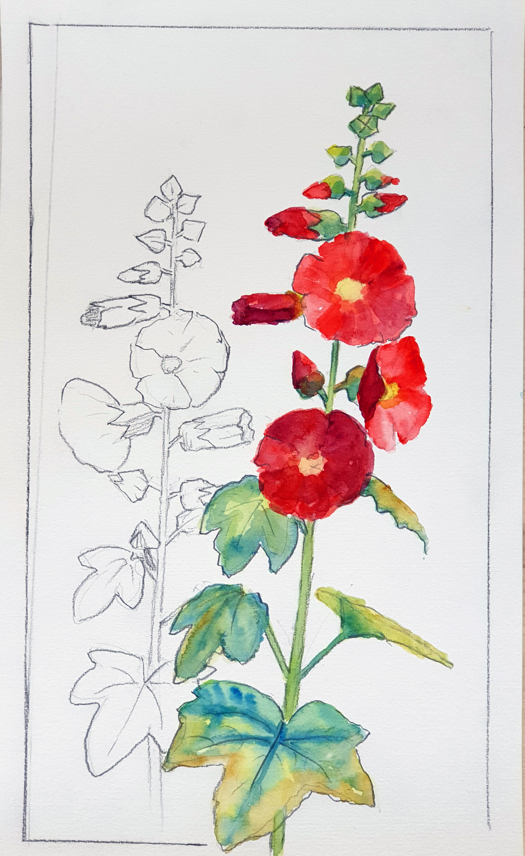 KJ-blomst-akvarel-25x42_1