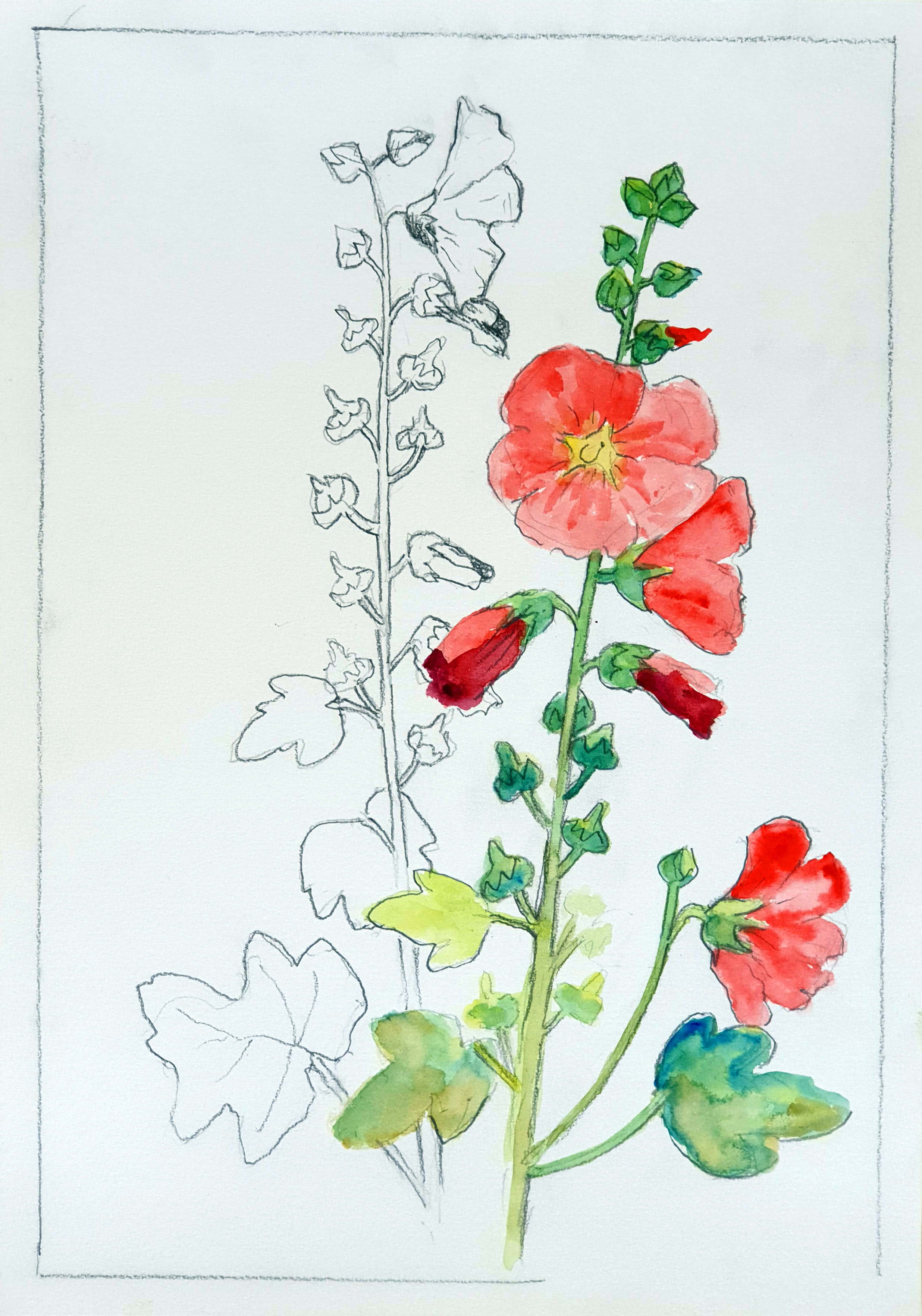 KJ-blomst-akvarel-30x40_2